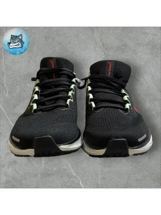 Nike Air Zoom Pegasus 41 Chicago Marathon Men Sz 6.5 Women 8 New Rare HJ9062-010 - Picture 4 of 5